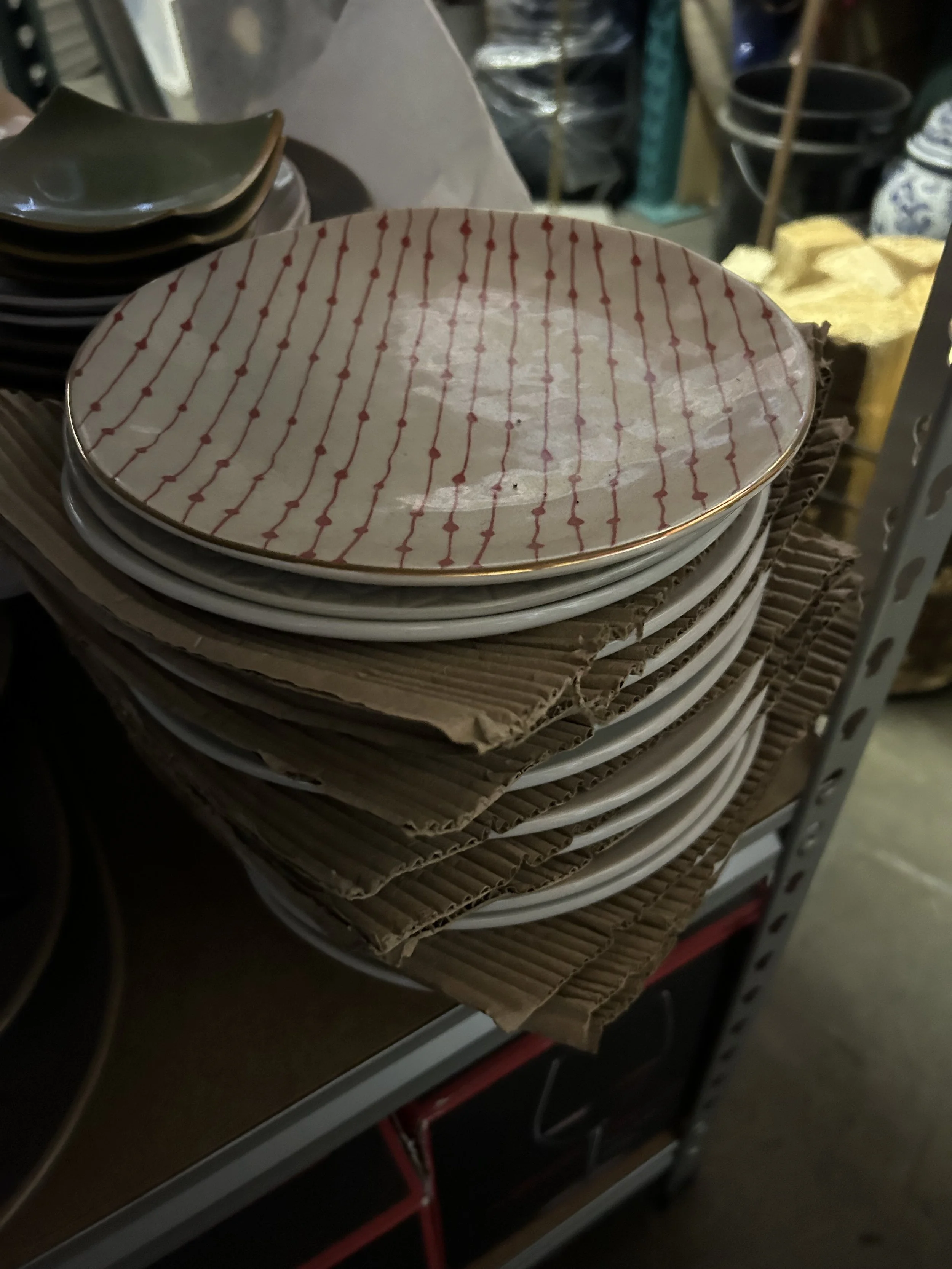 Photo Mar 01 2024, 11 34 50 AM.jpg