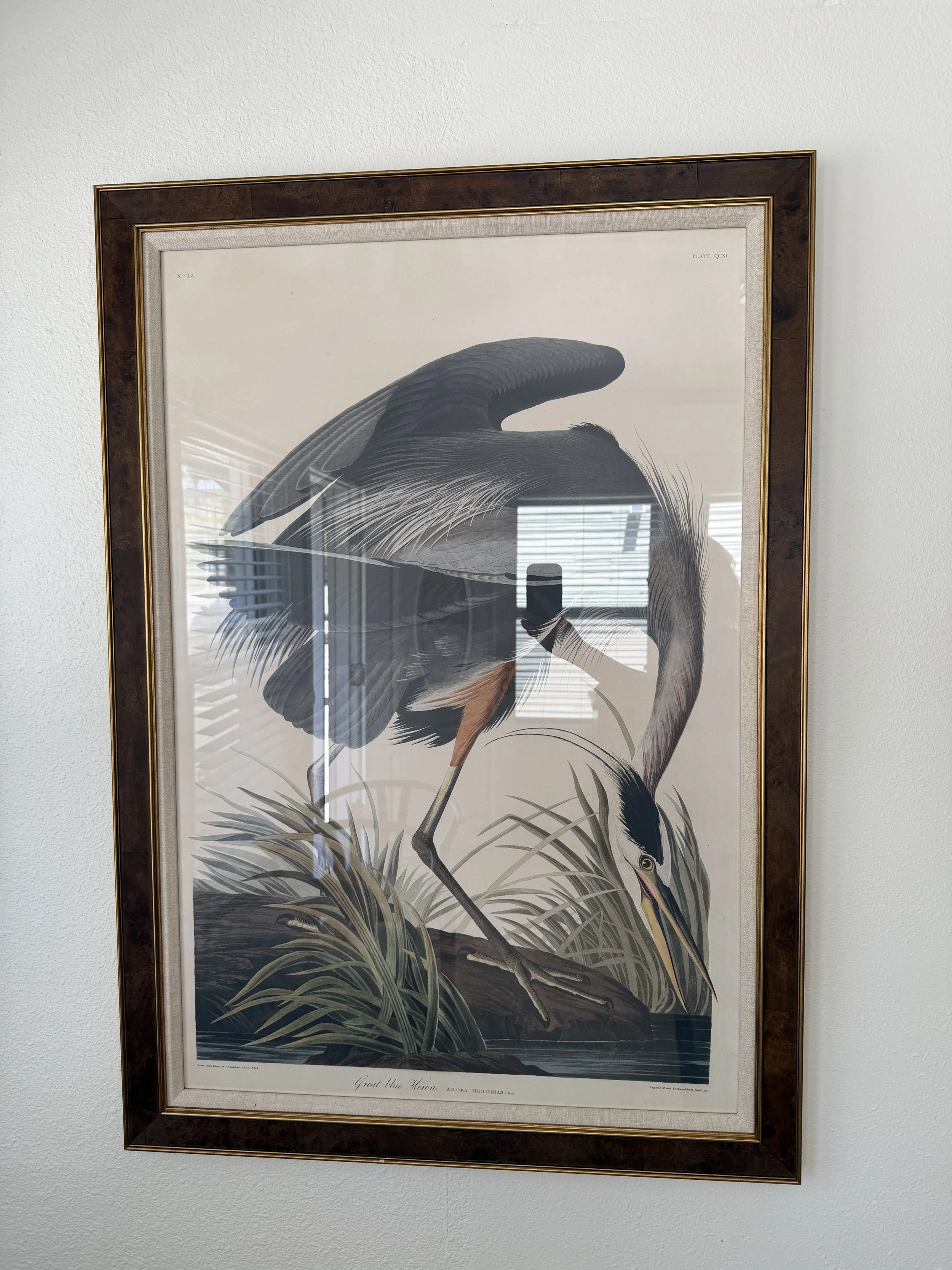 28"w x 40"h 
