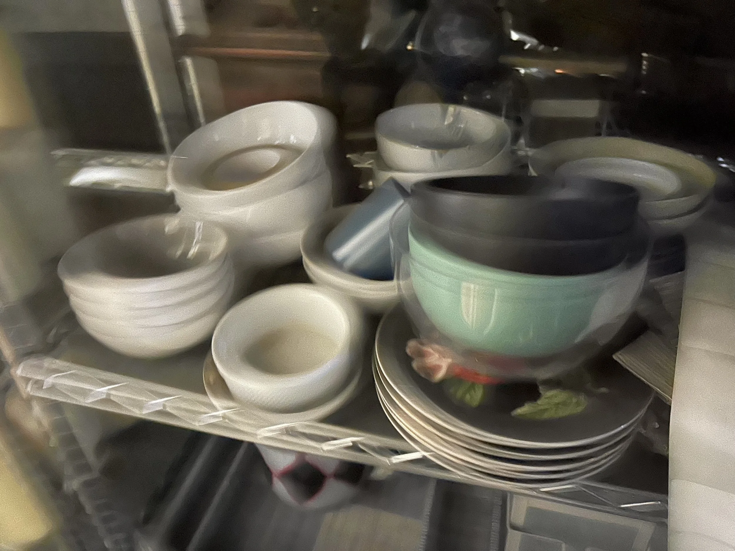 Photo Mar 01 2024, 11 15 13 AM.jpg