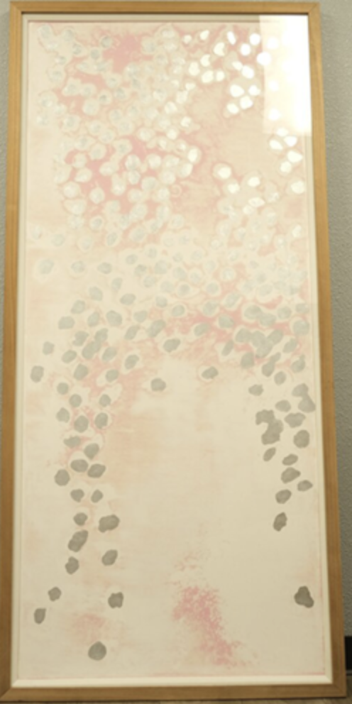 33 x 71.25