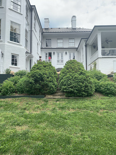 Boxwood that become too overgrown are more susceptible to disease such as boxwood blight.