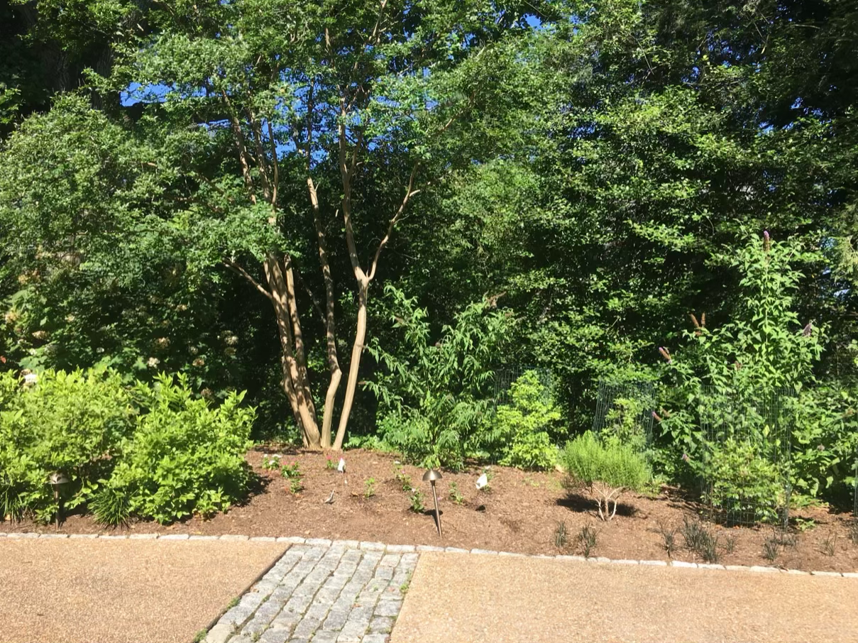 #1: Driveway bed before complete redesign.