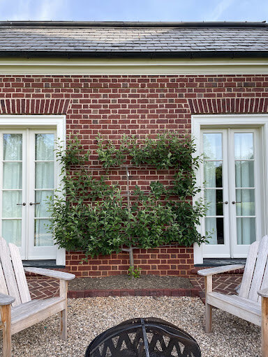 Espaliers require a special form of pruning.