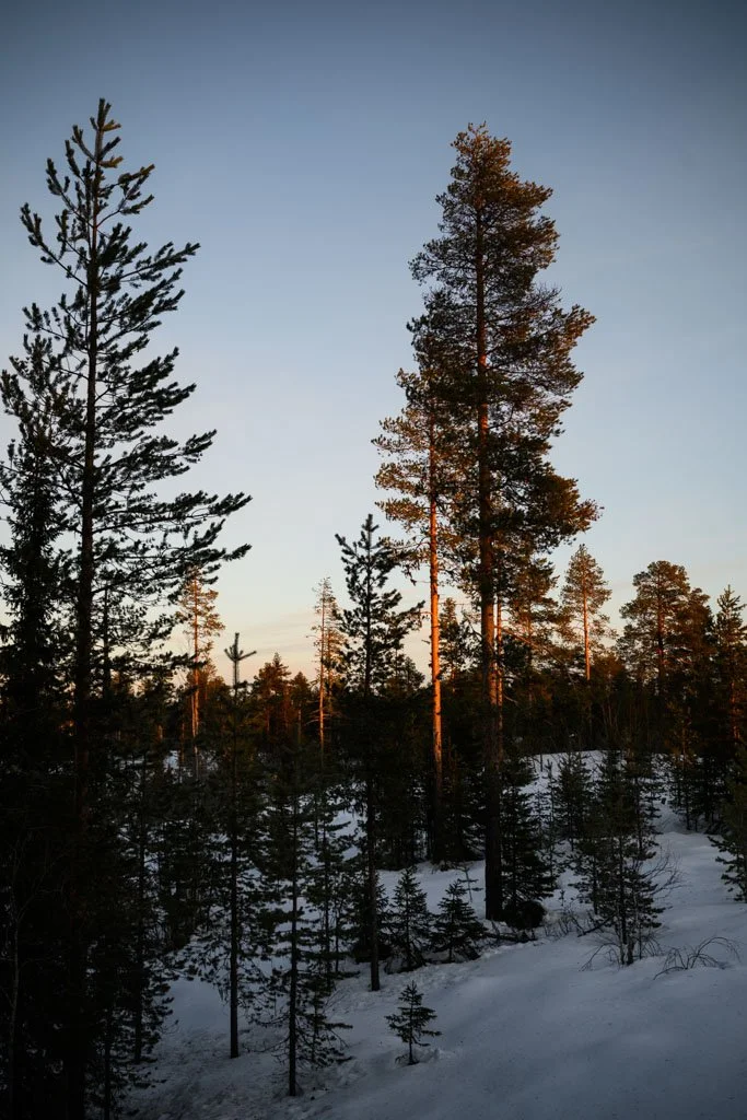 Winterwunderland Schweden