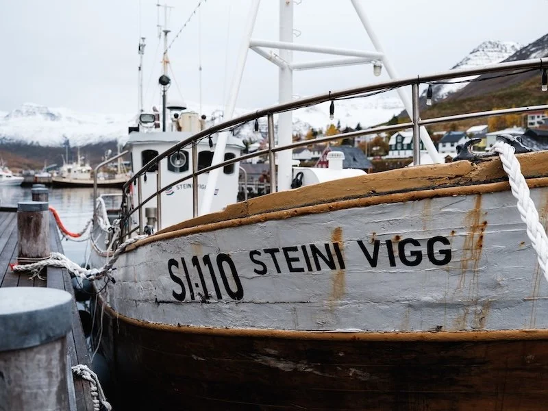 Steini Vigg