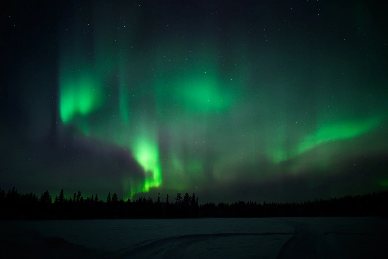 Nordlichter, Aurora Borealis tanzen farbenfroh über dem Himmel in Lappland Schweden