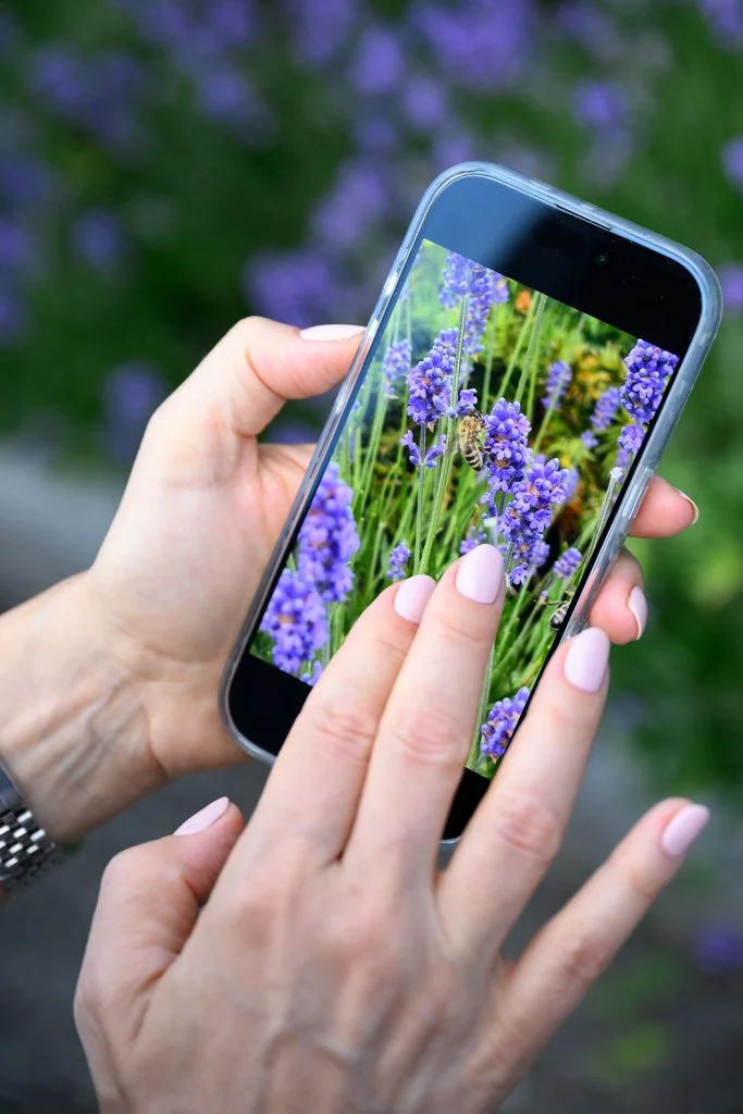 iPhone Fotokurs in Zürich