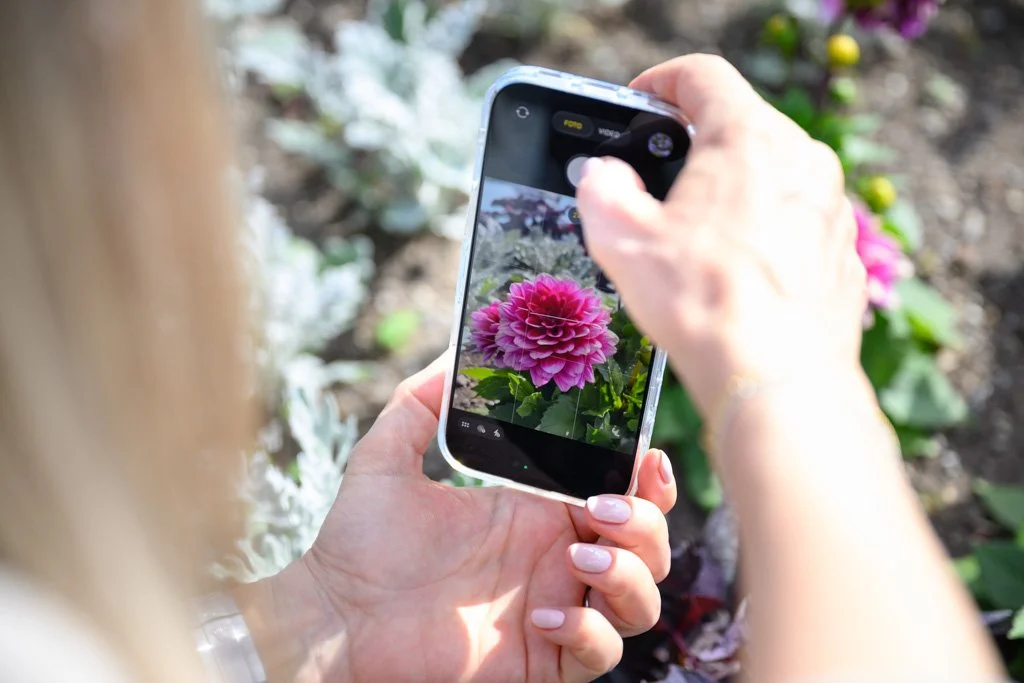 iPhone Fotokurs in Zürich