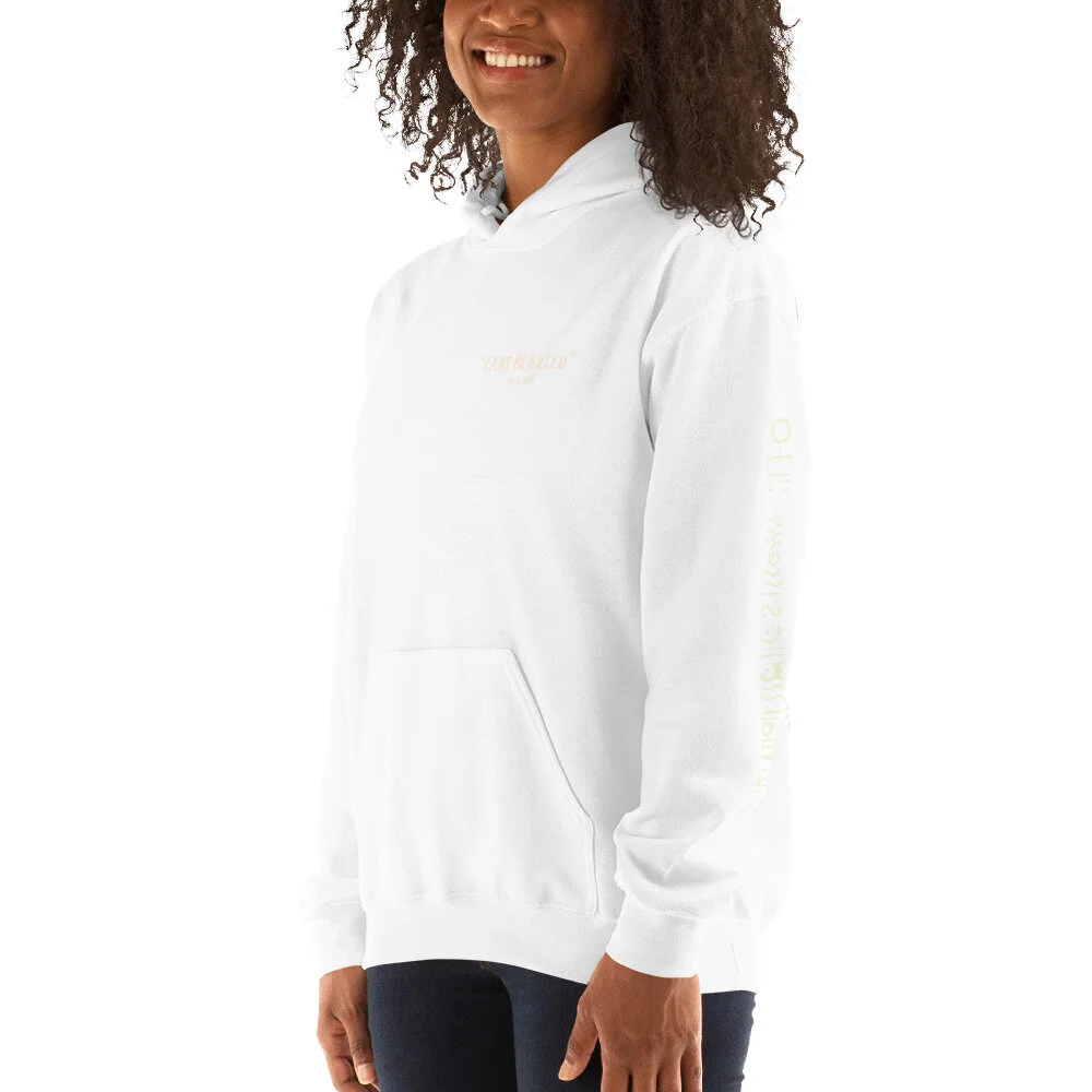 unisex-heavy-blend-hoodie-white-left-front-614b3e665db9b.jpg