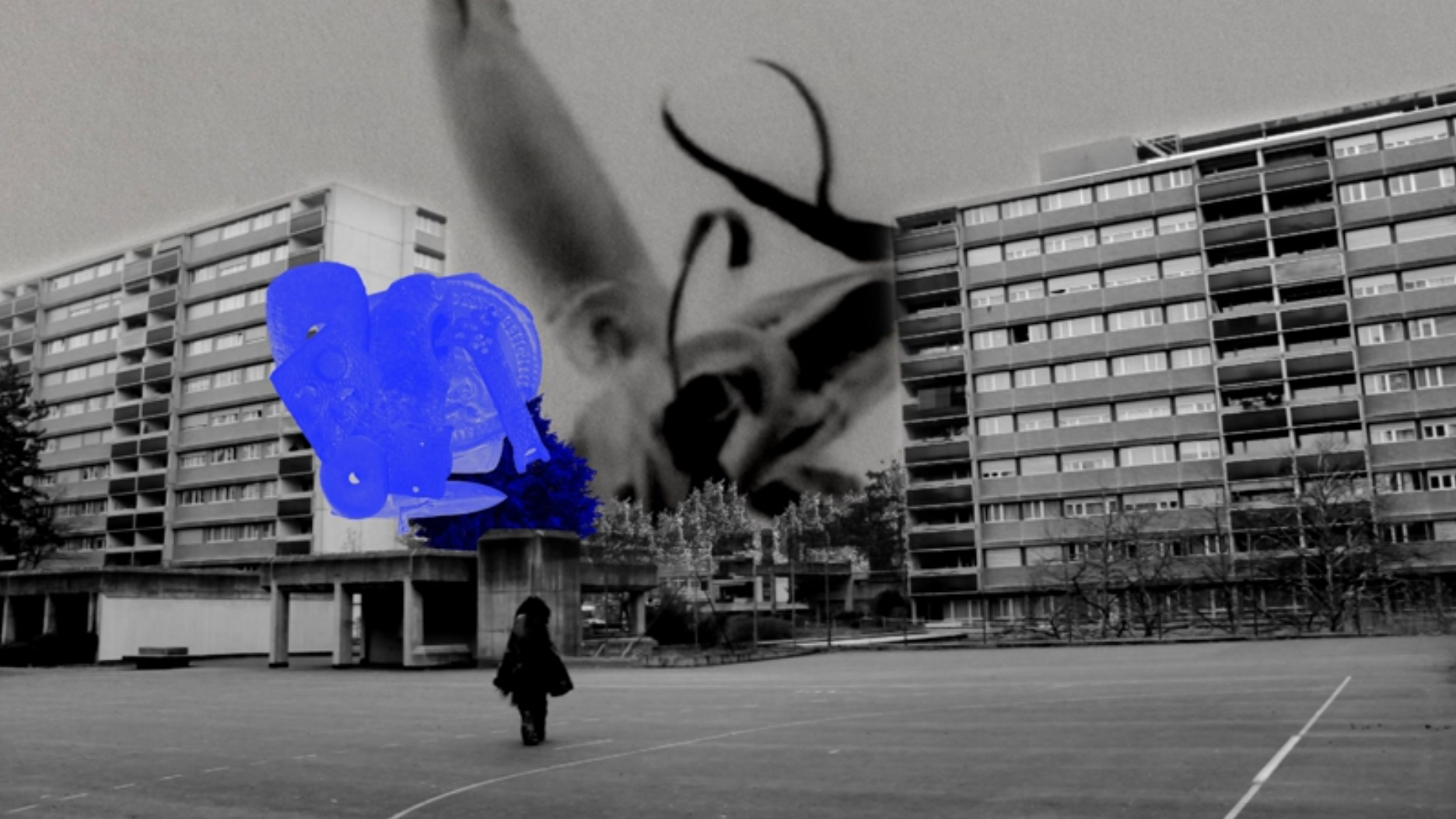 Dekonstrukt_Vampyroteuthis_2014_2.png