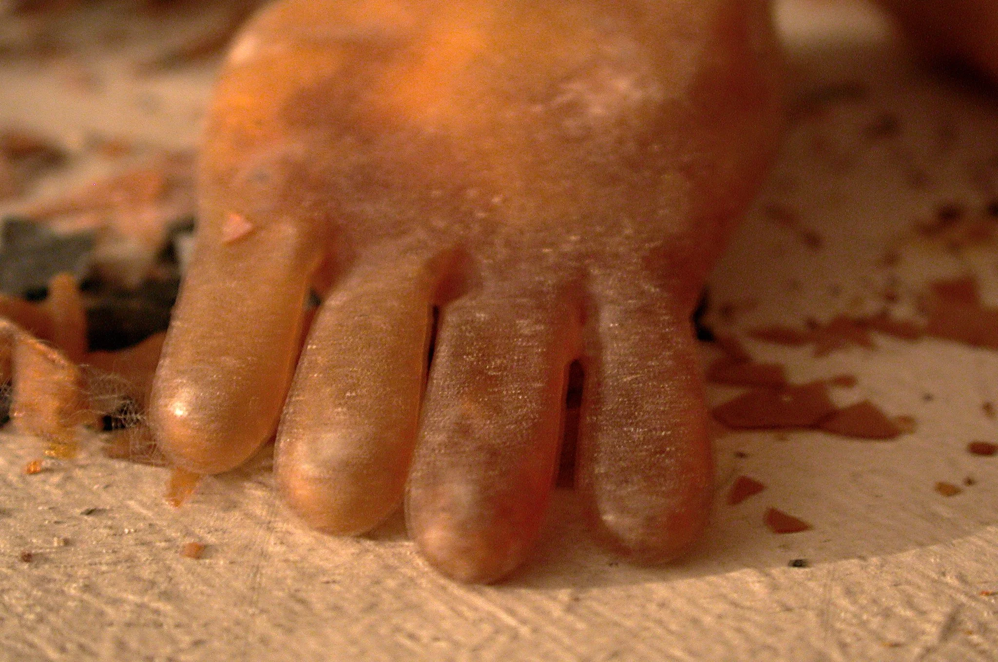 RenateBertlmann_Formationen_Still_2.jpg