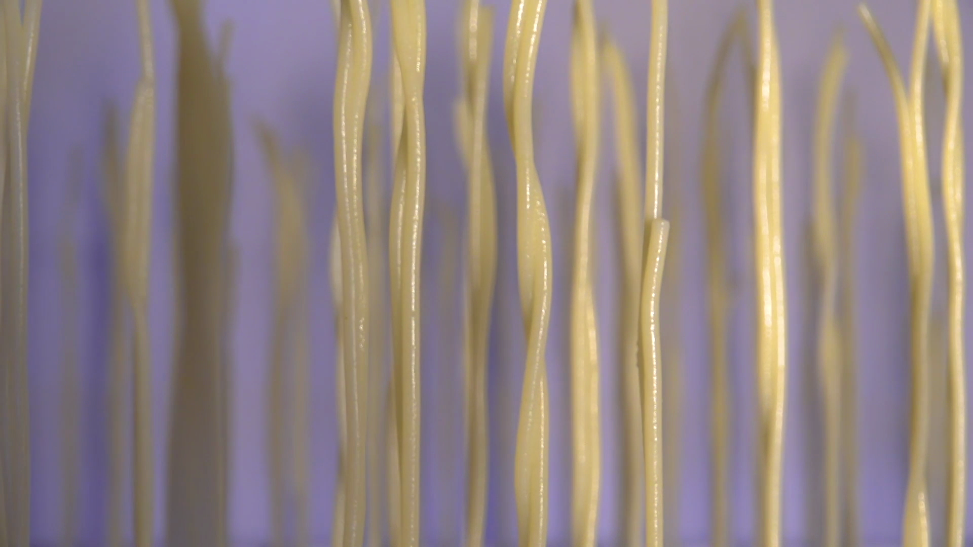 RobinLütolf_PartialVertical_Still_3.png