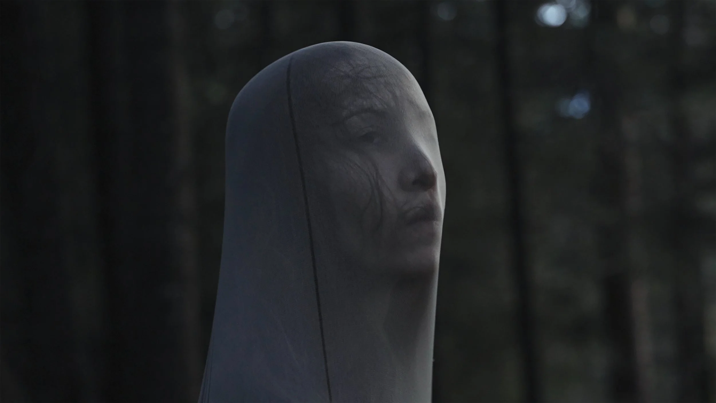 AnnaMutschlechnerDean_NotSeeingTheTree_Still_1.jpg