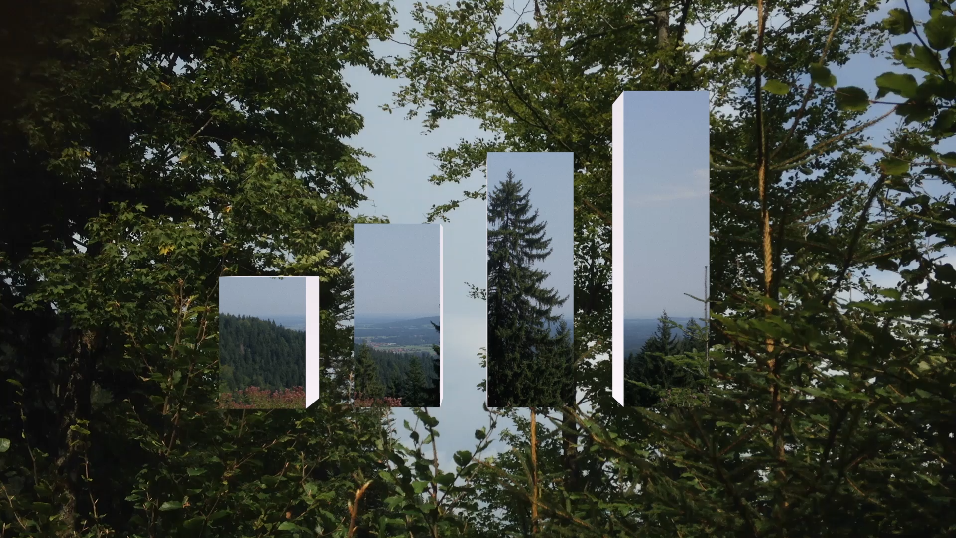 Untitled (the future is in the archive)_JamesStephenWright_Still1.png