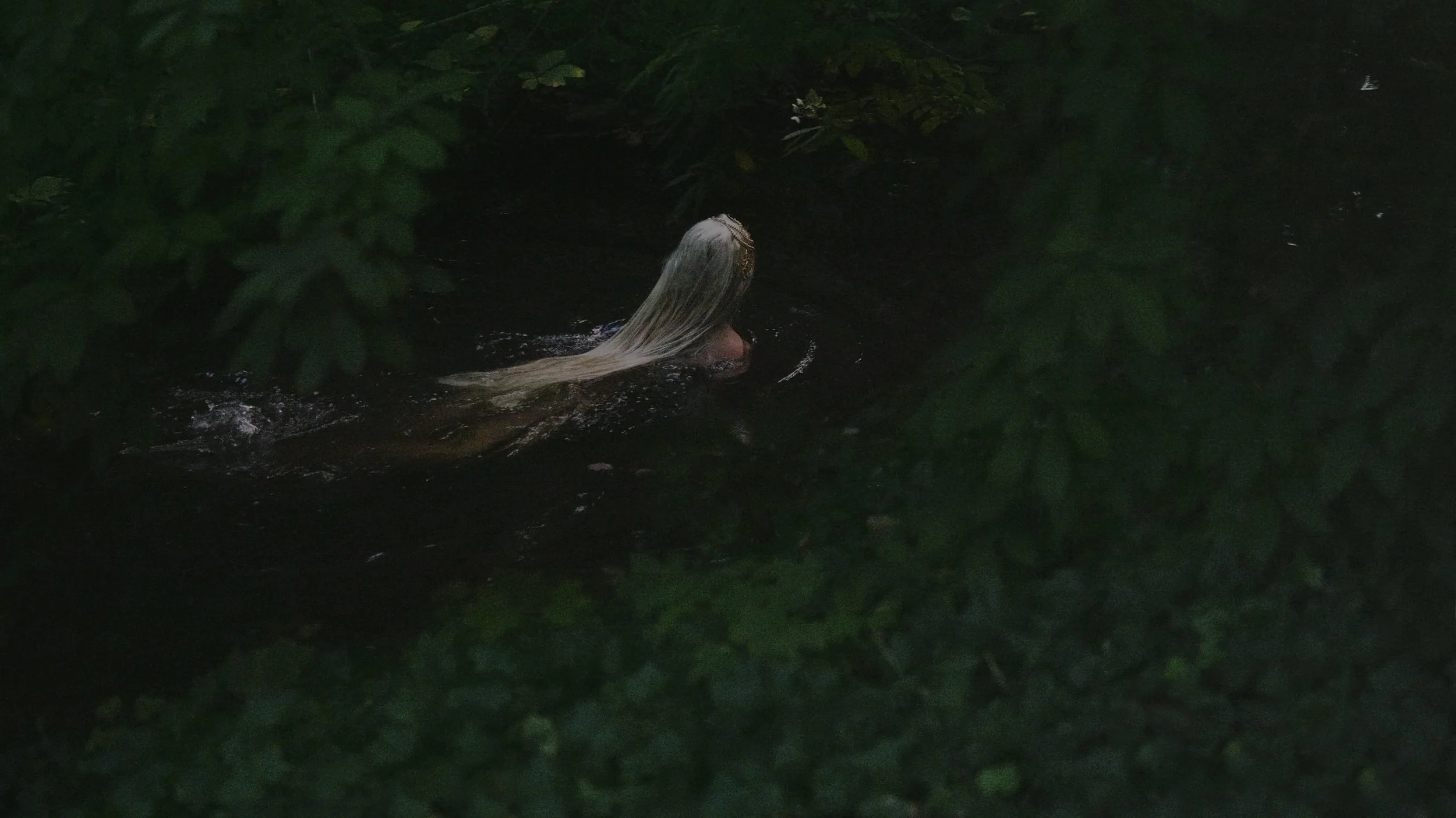 Venus_Klara Virnich.jpg