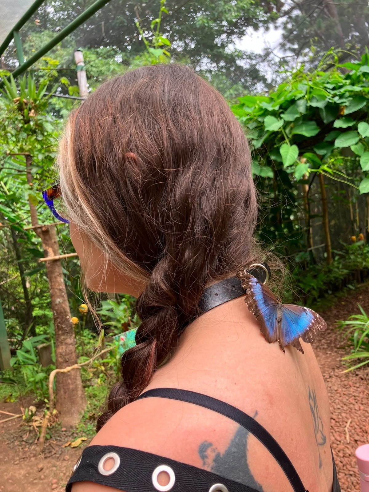 Visita a Spirogyra, con Camila Caris, Centro de Encuentros Culturales (GT)