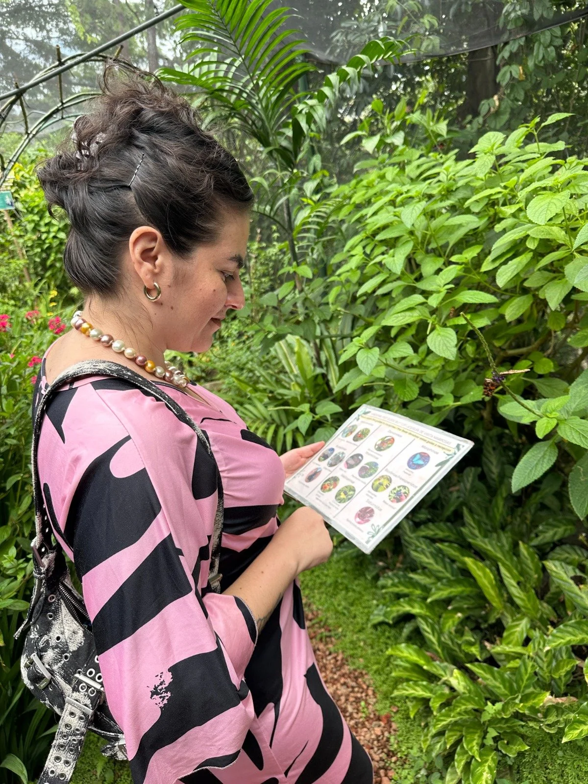Visita a Spirogyra, con Camila Caris, Centro de Encuentros Culturales (GT)