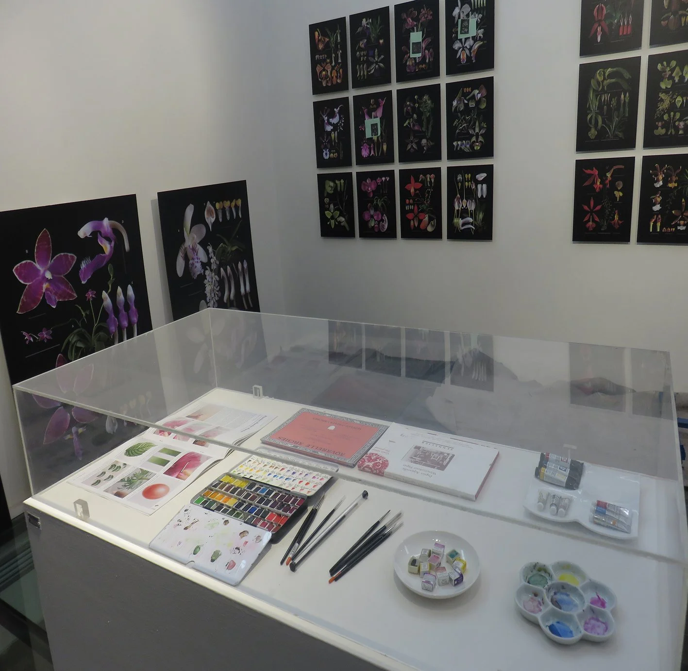 Sala de exhibición de botanica con ilustraciones de orquídeas en las paredes y materiales de pintura y dibujo sobre una mesa protegida por una vitrina.