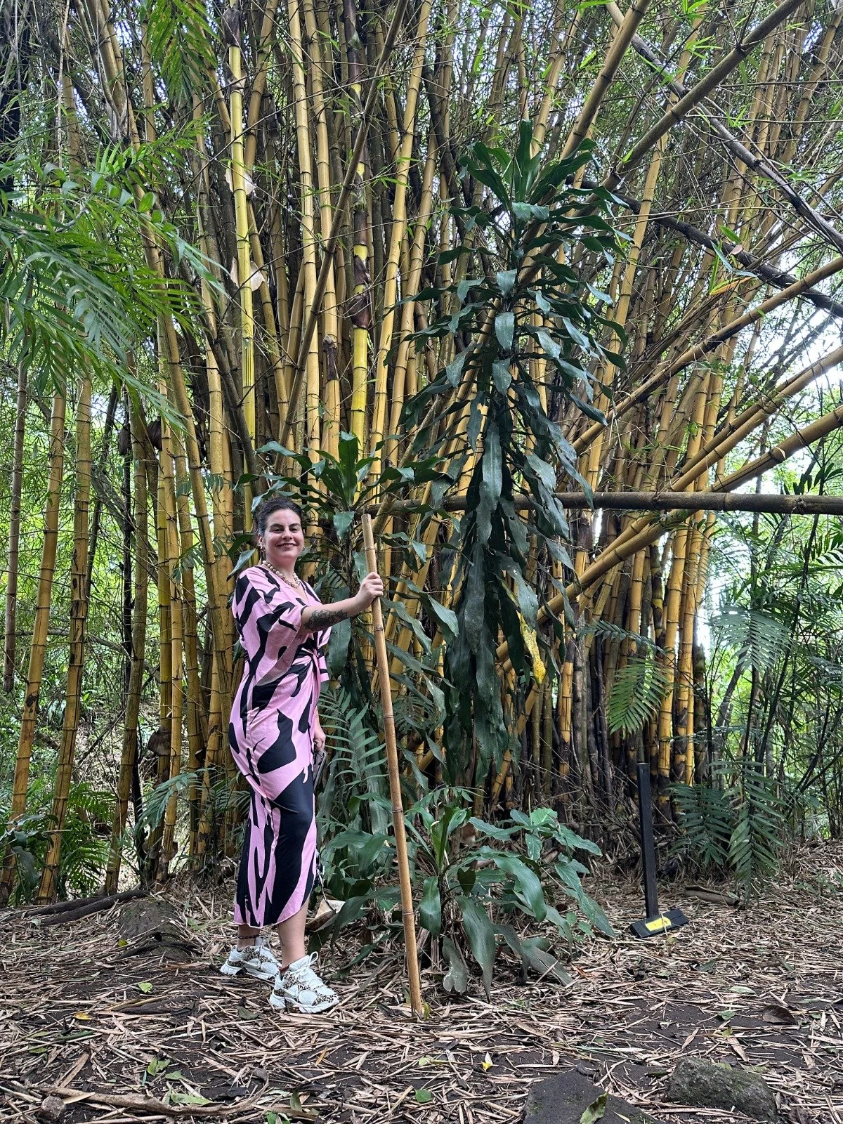Visita a Spirogyra, con Camila Caris, Centro de Encuentros Culturales (GT)