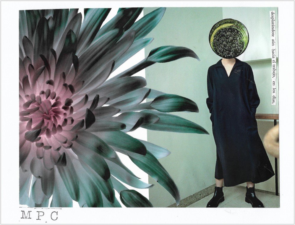 Collage que muestra una flor y una mujer sin cara firmado "MPC"