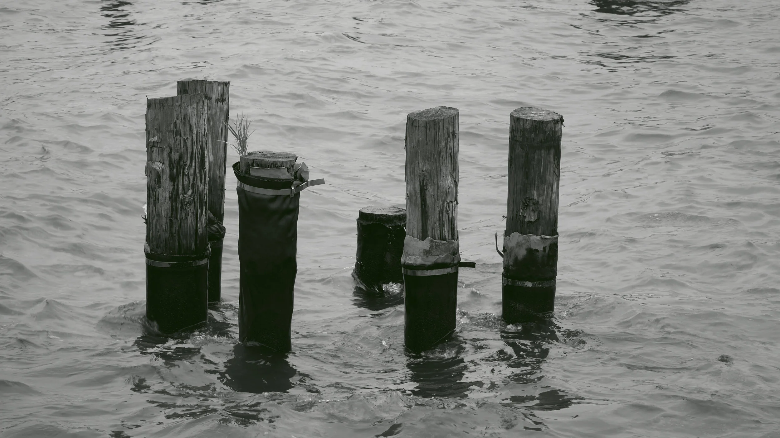 The Flood_Still 2.jpg