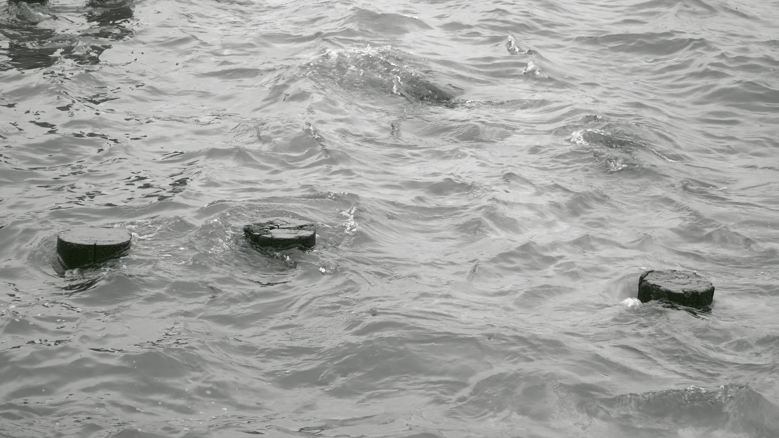 The Flood_Still 7.jpg