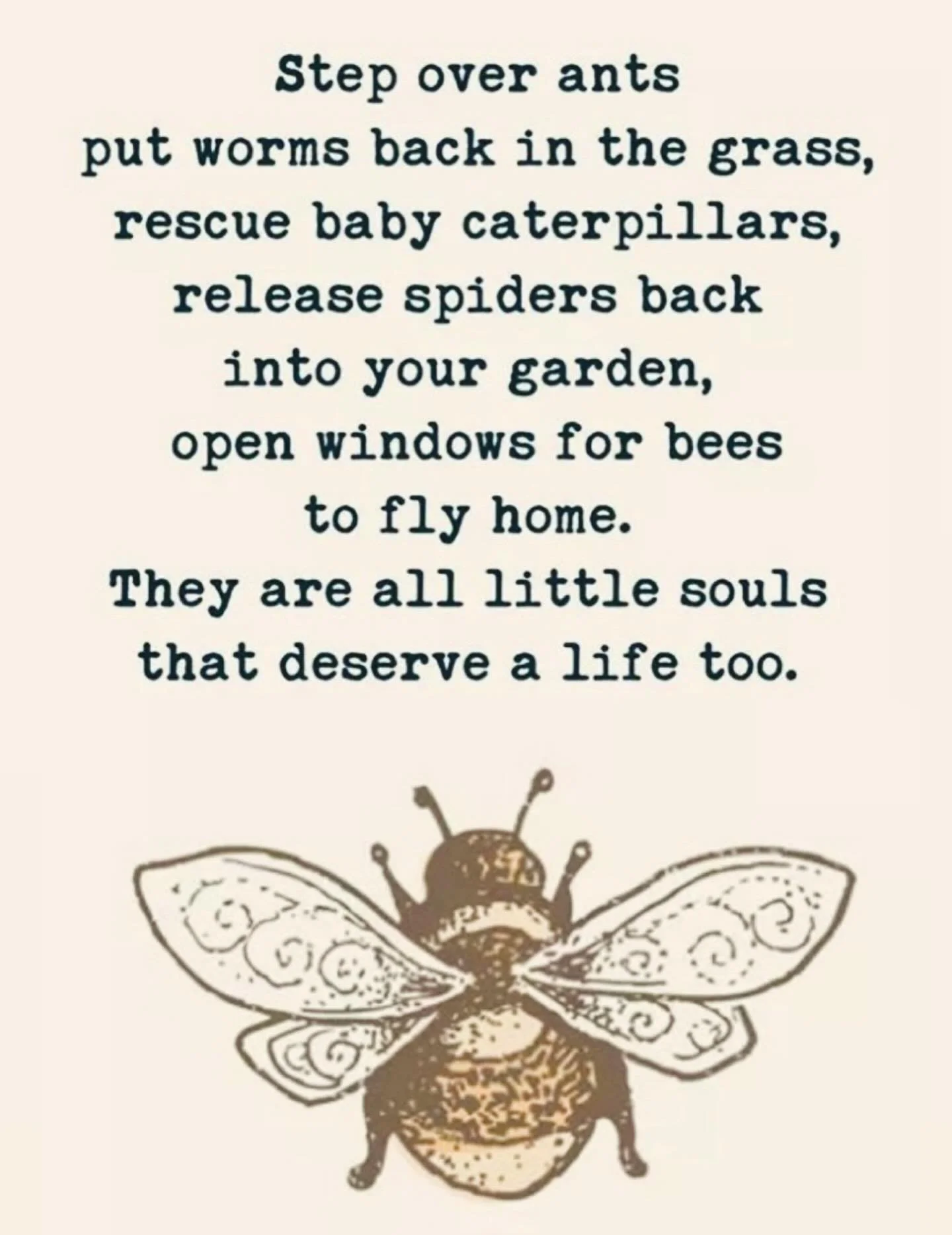 🐝 🦋🕷️🐛🐁 🐜