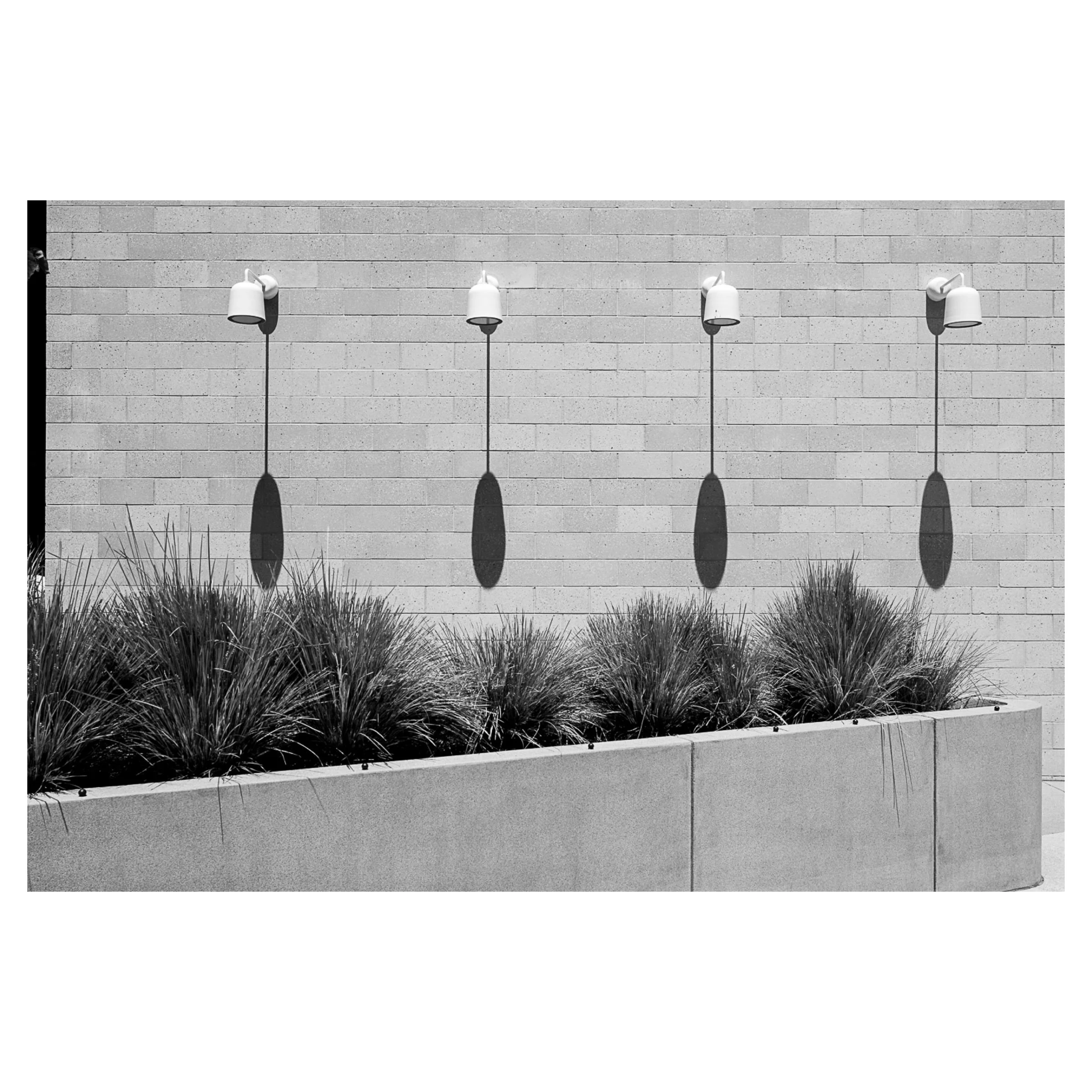 Noon Perfection, Hollywood, CA, 2026 © John P. Fleenor