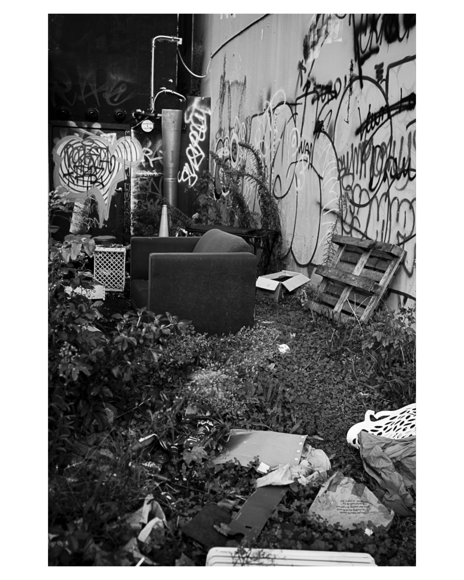 The Lounge, Auckland, NZ, 2024 © John P. Fleenor