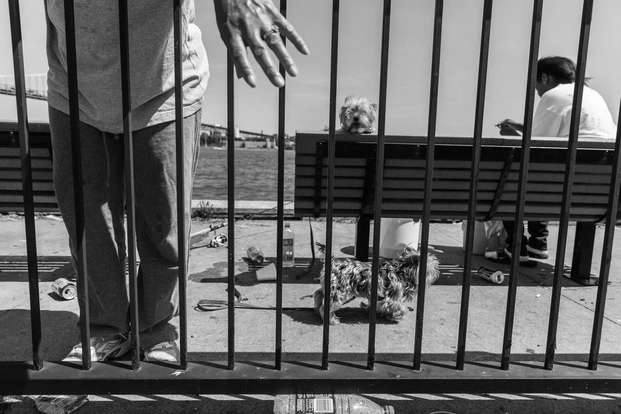 Watch Dog, Detroit, Michigan, 2014 © Amy Sacka | Fine Art Print