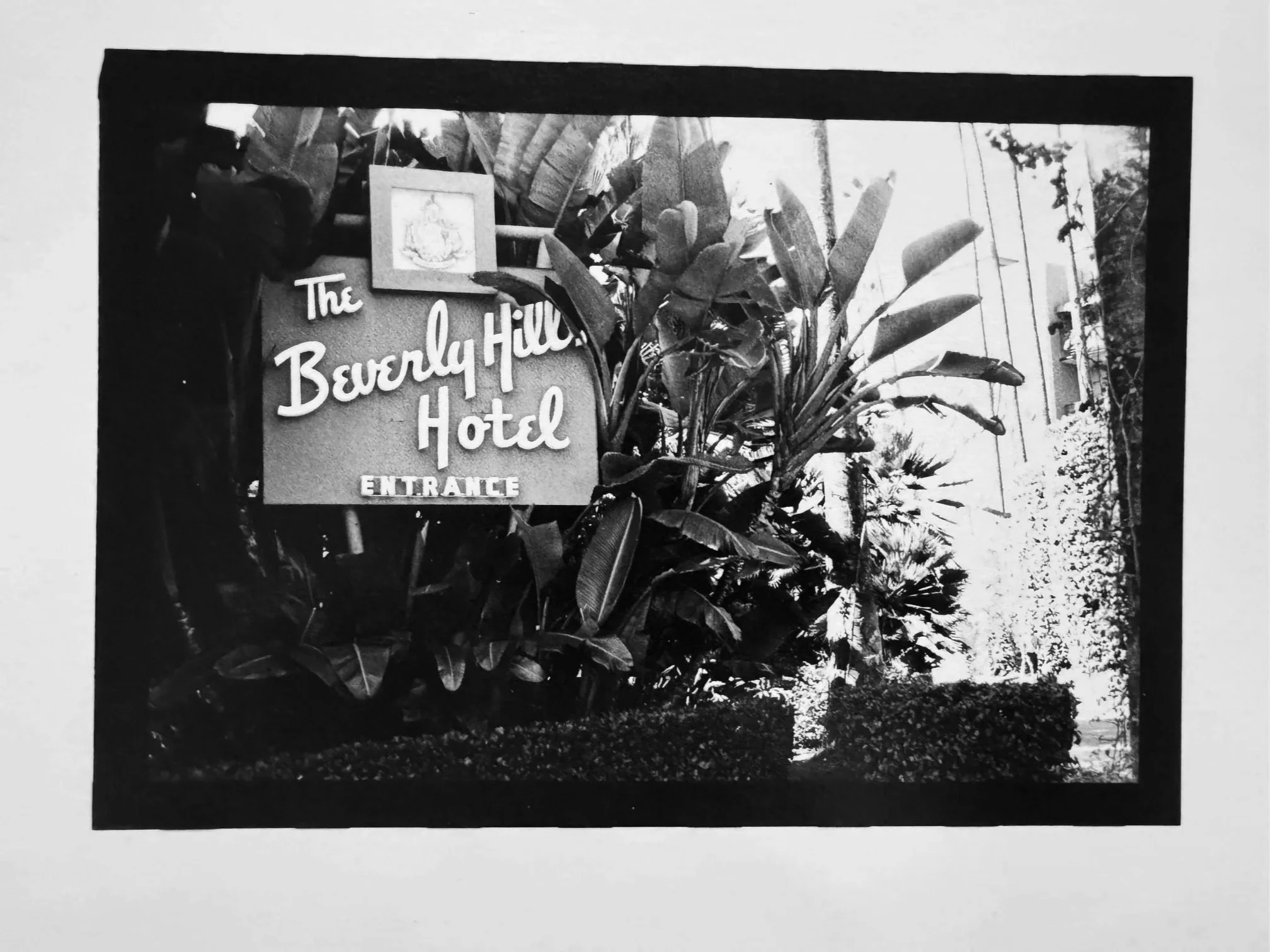 Beverly+Hotel+Close+Up_1.jpg