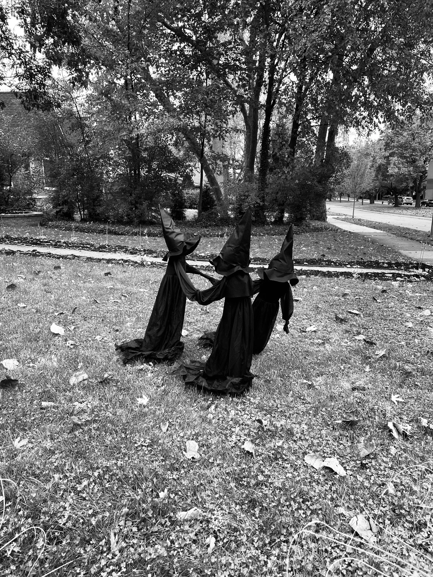 Three scarecrows dressed as witches with pointed hats in a row holding hands on a grassy yard with leaves, trees, and a sidewalk in the background.