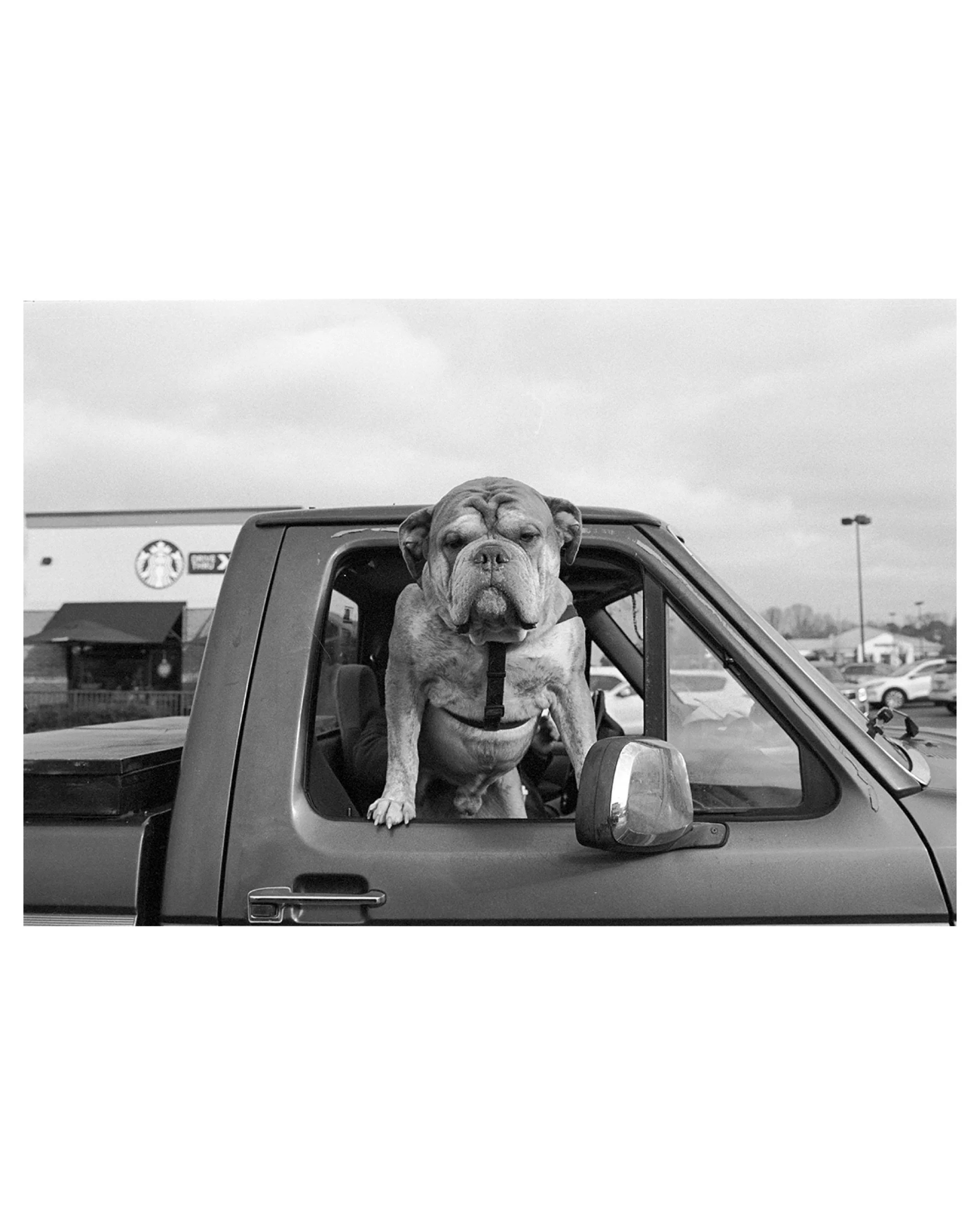 Shopping Mall Parking Lot, Gardendale, AL, 2025 © Leigh Ann Edmonds