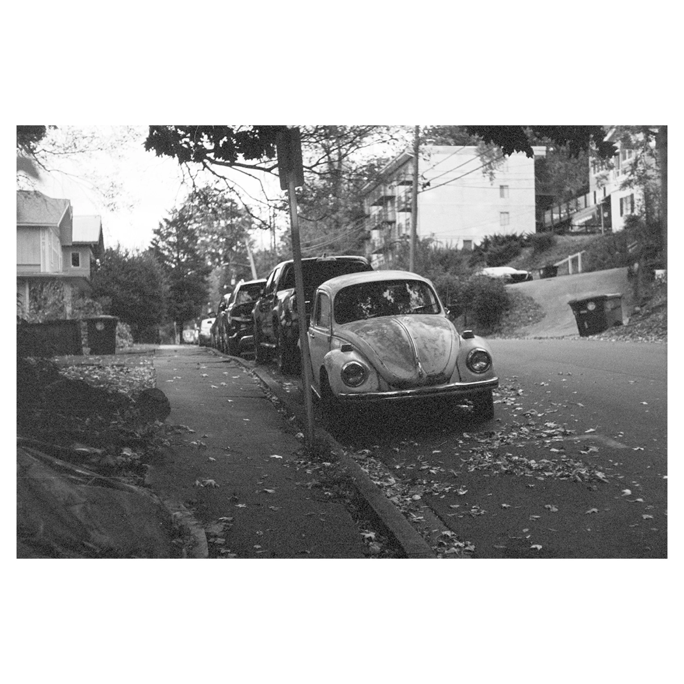 Volkswagon Bug, Birmingham, AL, 2025 © Leigh Ann Edmonds