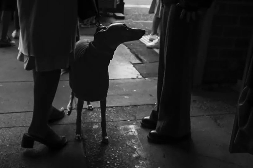 Strange Encounter, Melbourne, AU, 2023 © John P. Fleenor | Fine Art Print