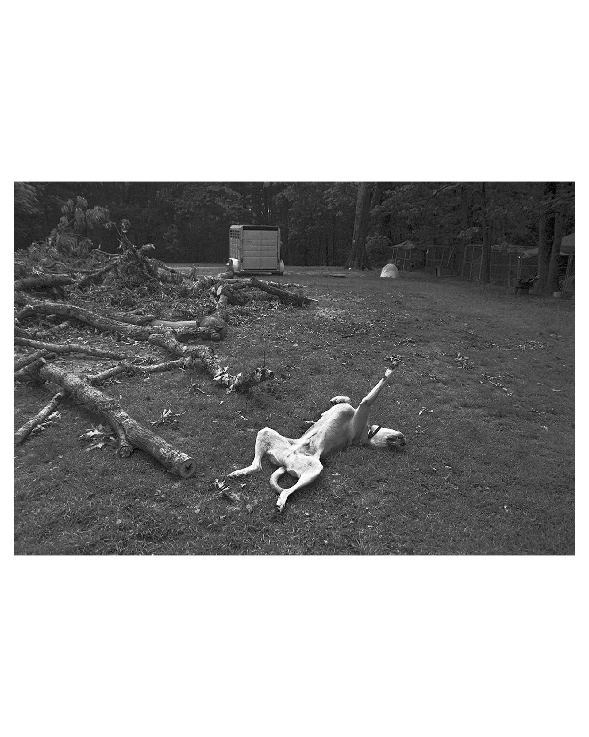 The Nap, Mount Olive, AL, 2026 © Leigh Ann Edmonds