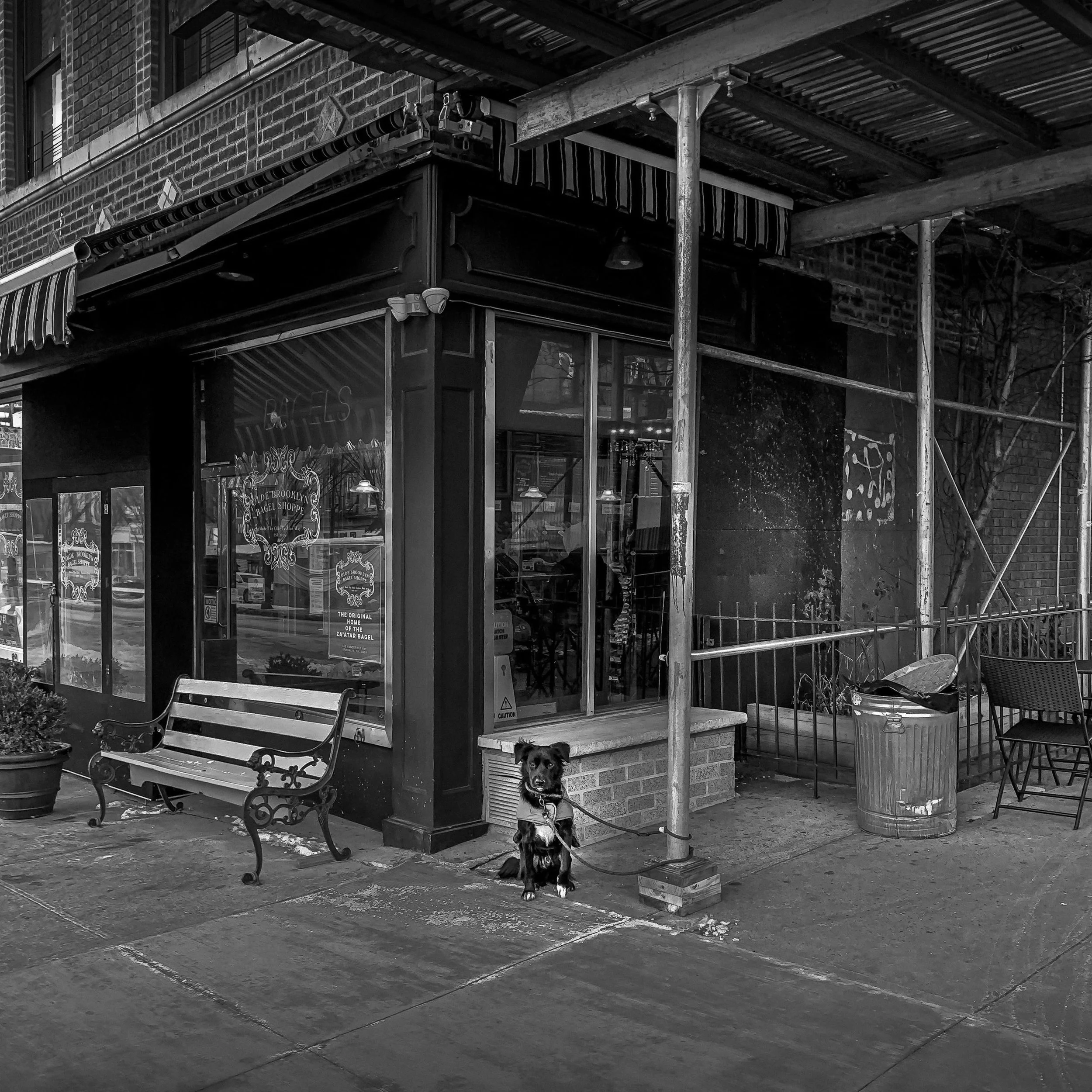 Waiting For Morning Coffee Series #3, Brooklyn, New York, 2022 © Wolf Weintraub