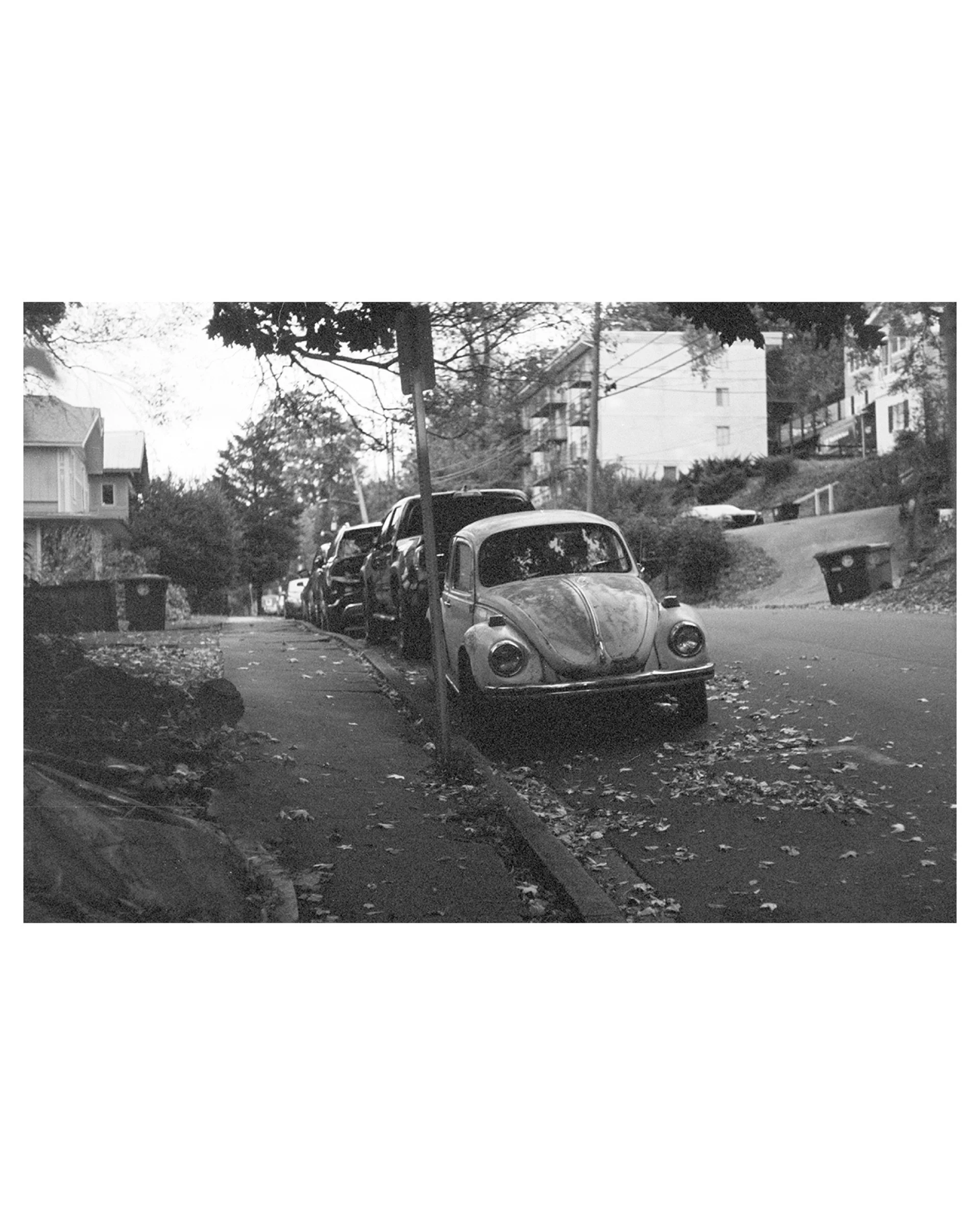 Volkswagon Bug, Birmingham, AL, 2025 © Leigh Ann Edmonds