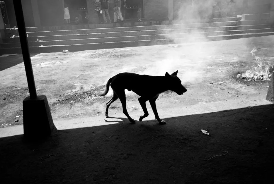 San Andres Itzapa I, Guatemala, 2008 © Michael Hintlian
