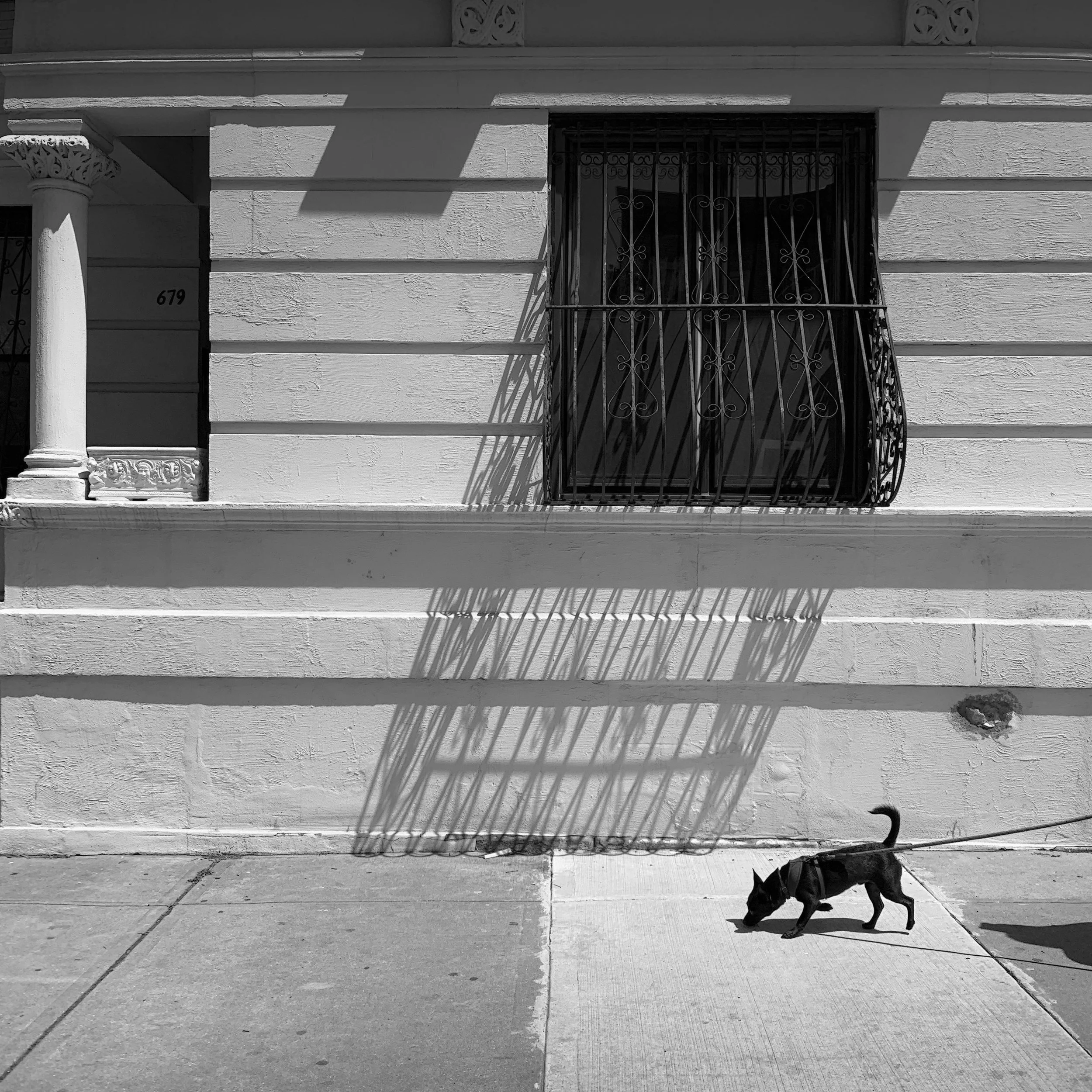 Brooklyn, New York, 2019 © Wolf Weintraub