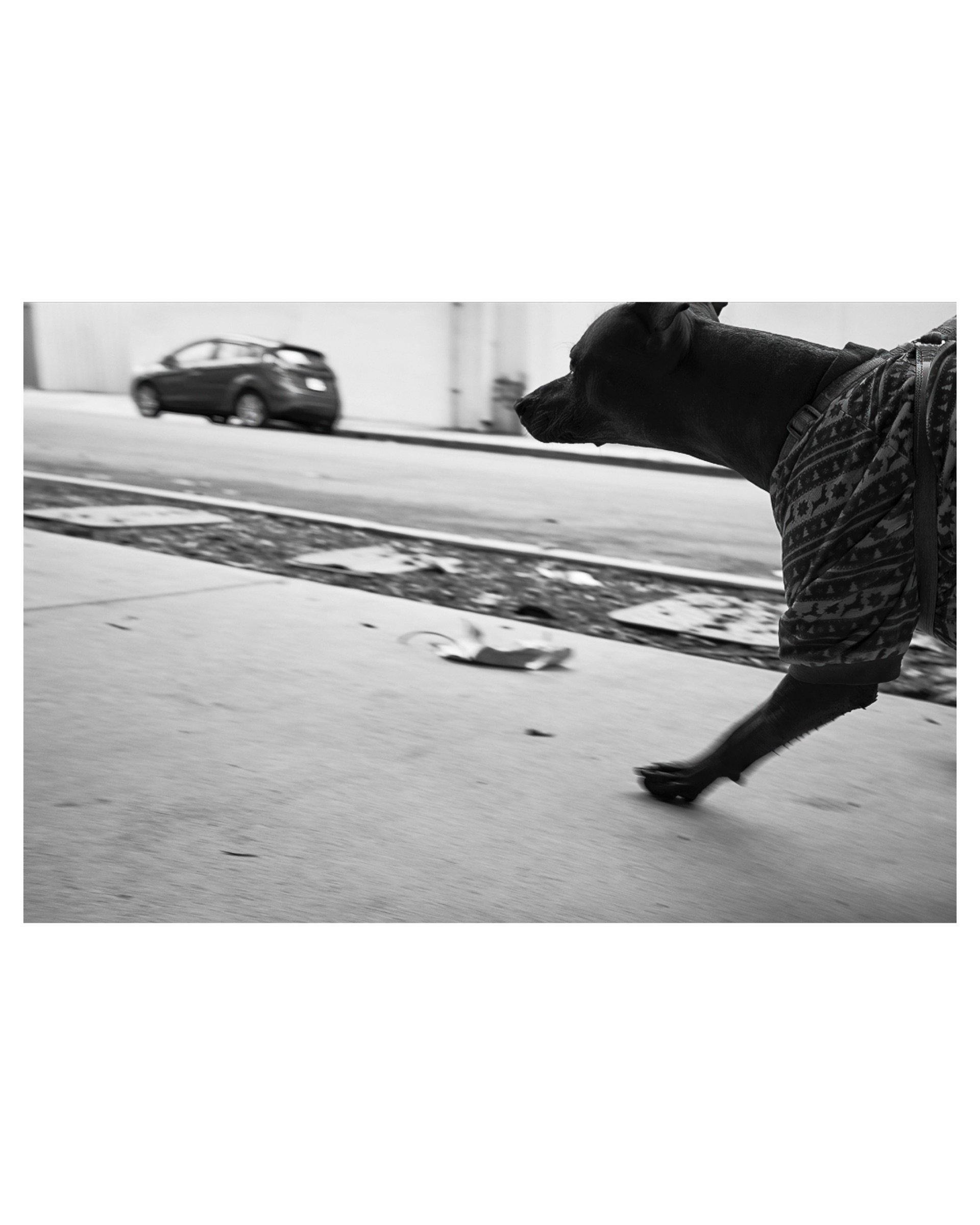 Brisky, Los Angeles, CA, 2023 © John P. Fleenor