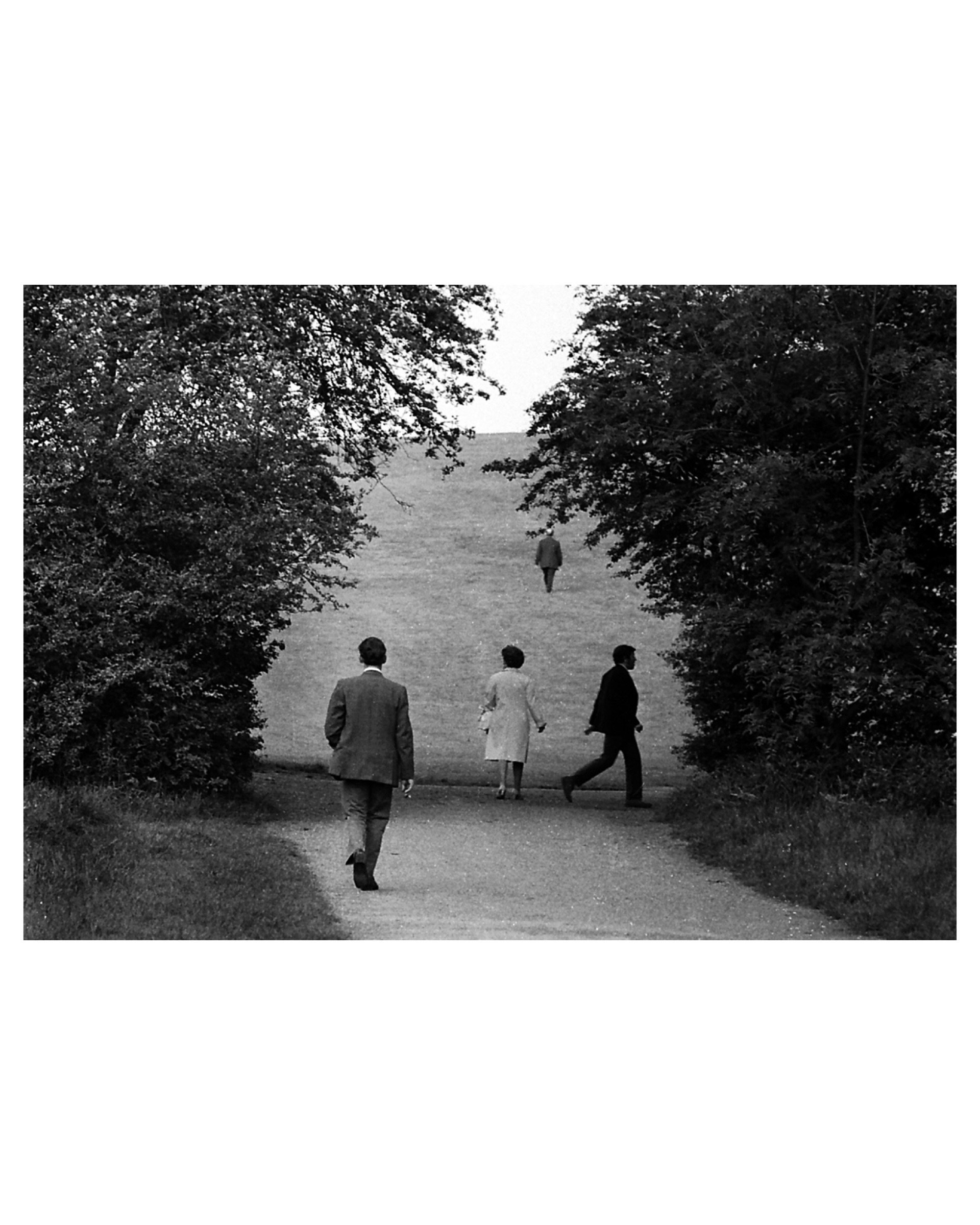 IMG_2108.jpeg