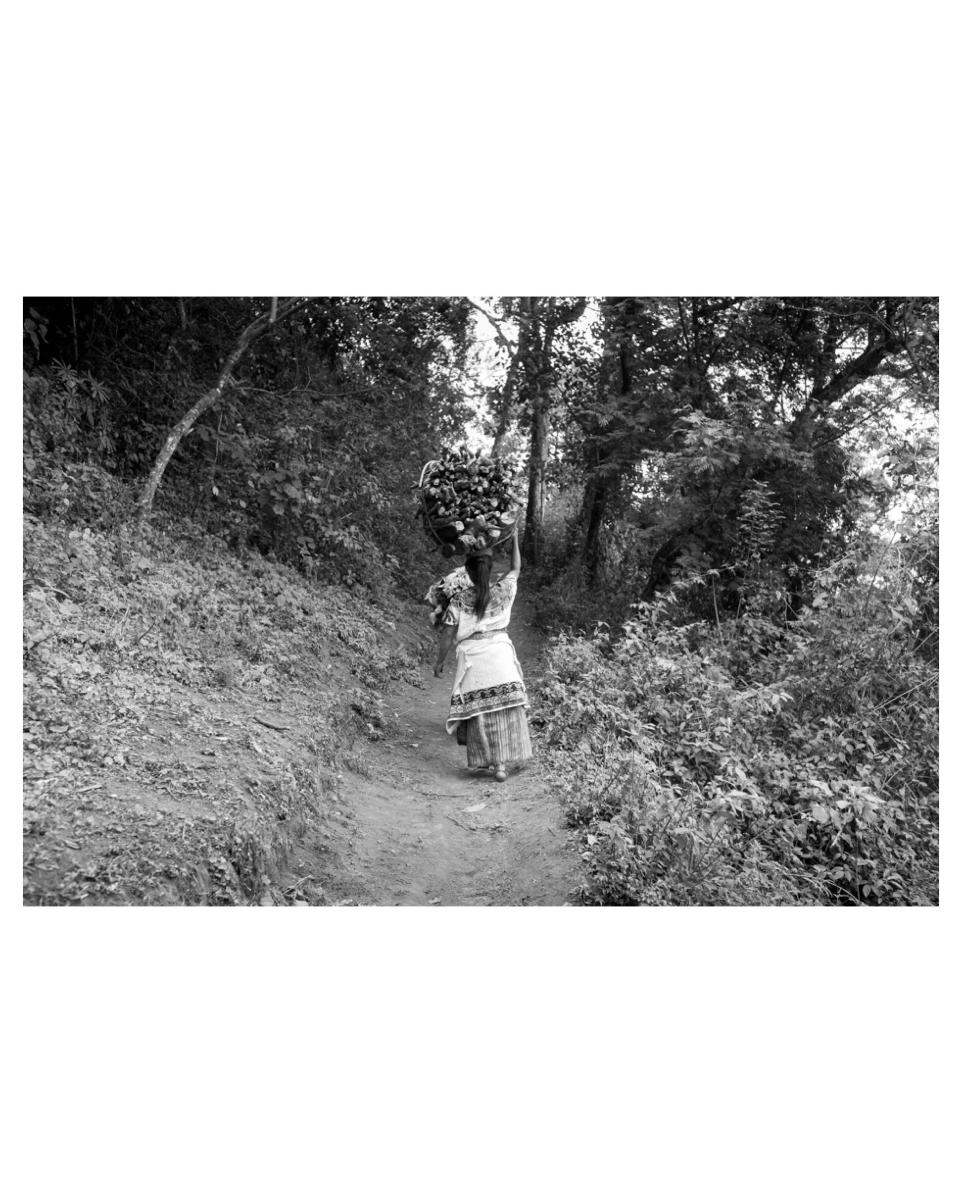 Cobán II, Guatemala, 2012 © Michael Hintlian