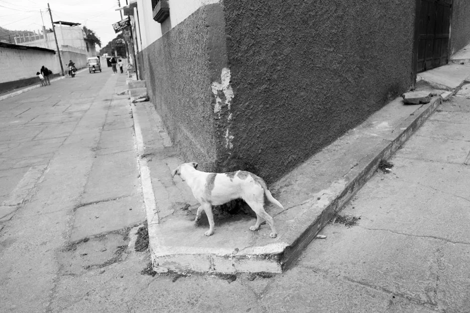 Santa Ana, Guatemala, 2012 © Michael Hintlian