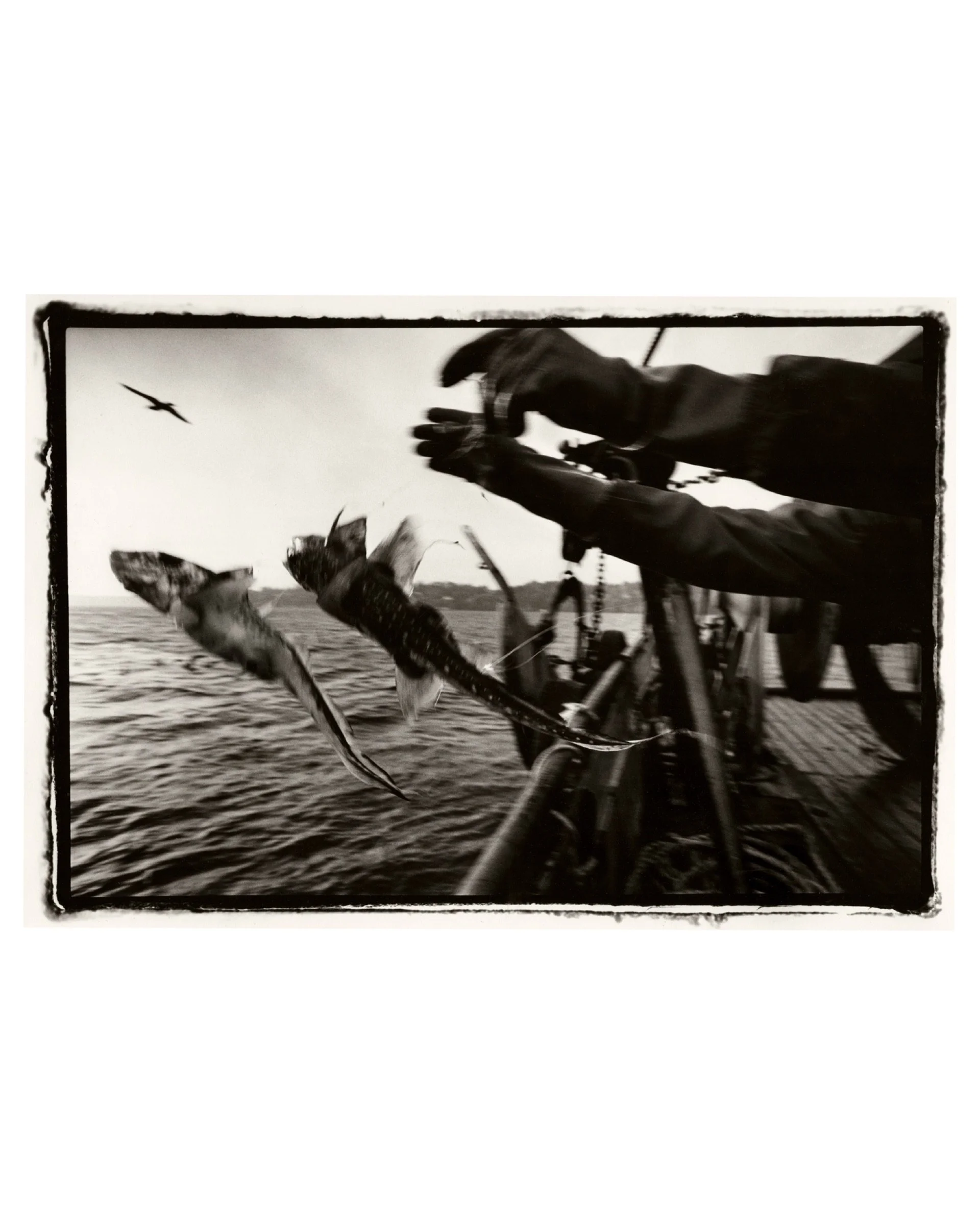 The Puget Sound, Seattle, WA, 1991 © Saul Bromberger & Sandra Hoover
