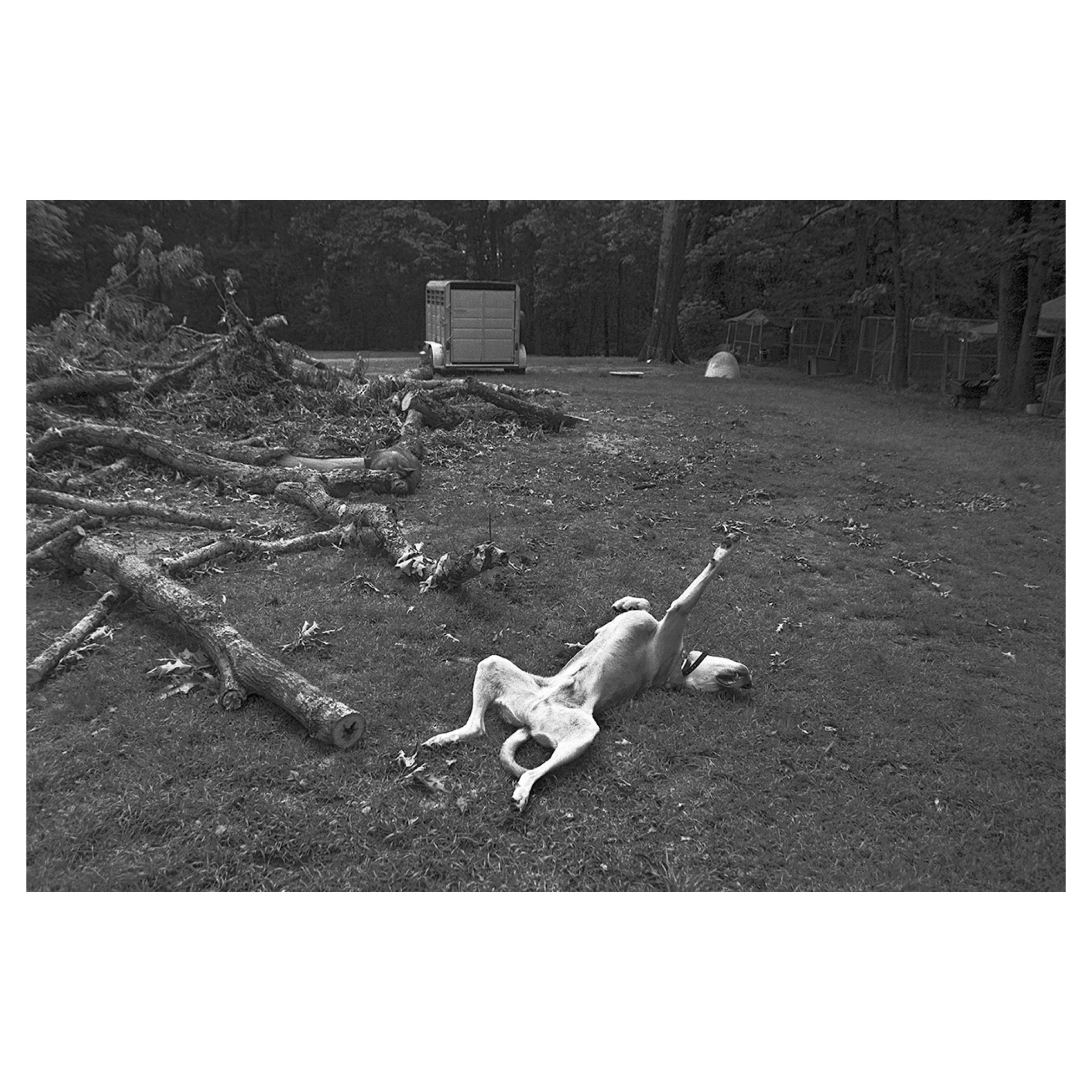 The Nap, Mount Olive, AL, 2026 © Leigh Ann Edmonds