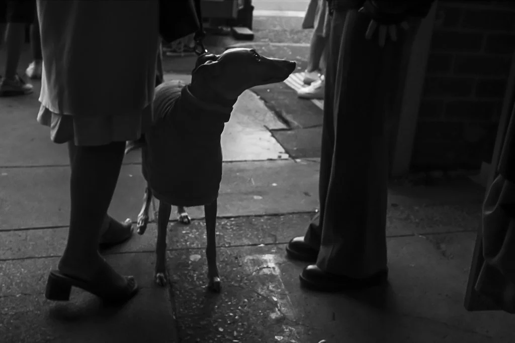 Strange Encounter, Melbourne, AU, 2023 © John P. Fleenor

