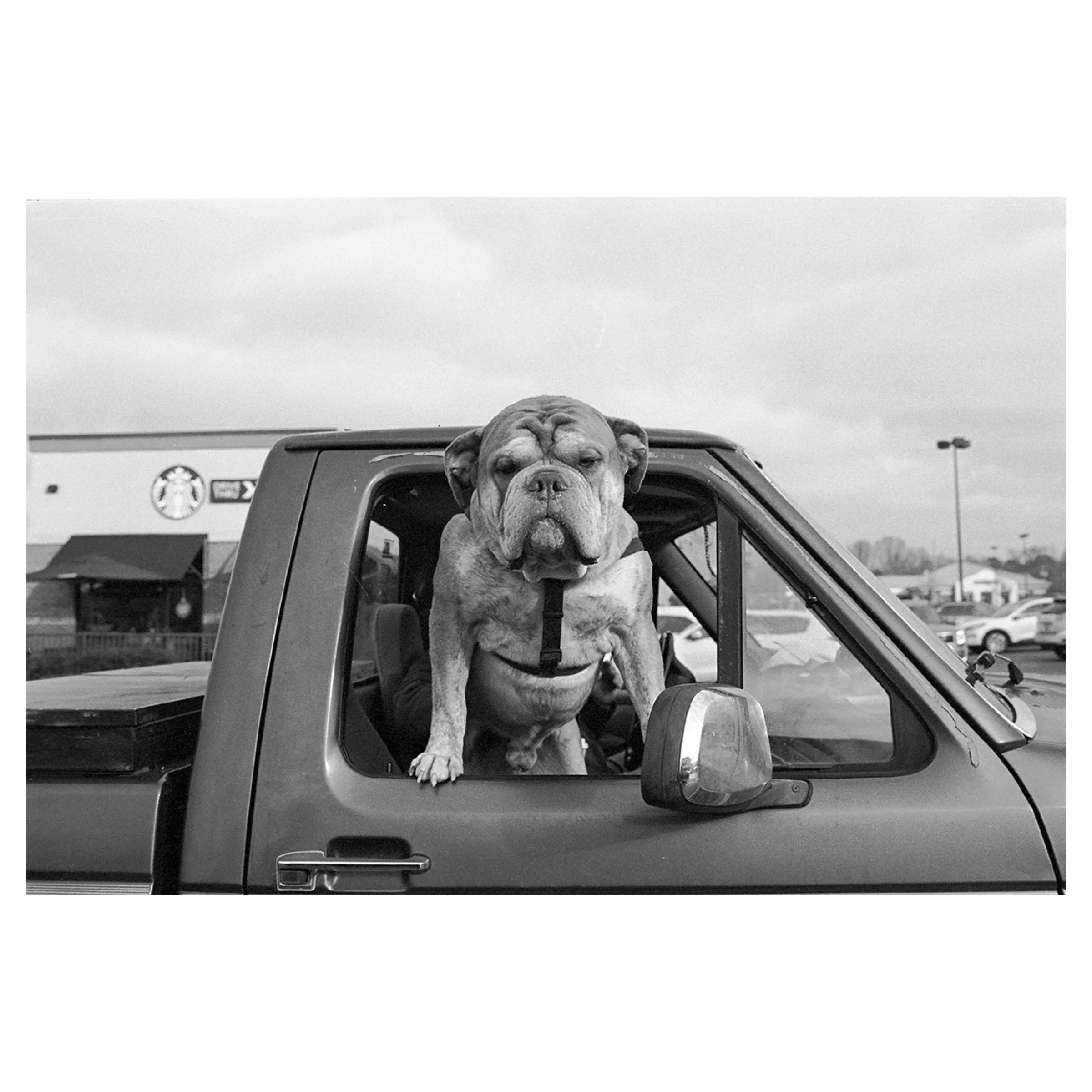 Shopping Mall Parking Lot, Gardendale, AL, 2025 © Leigh Ann Edmonds 
