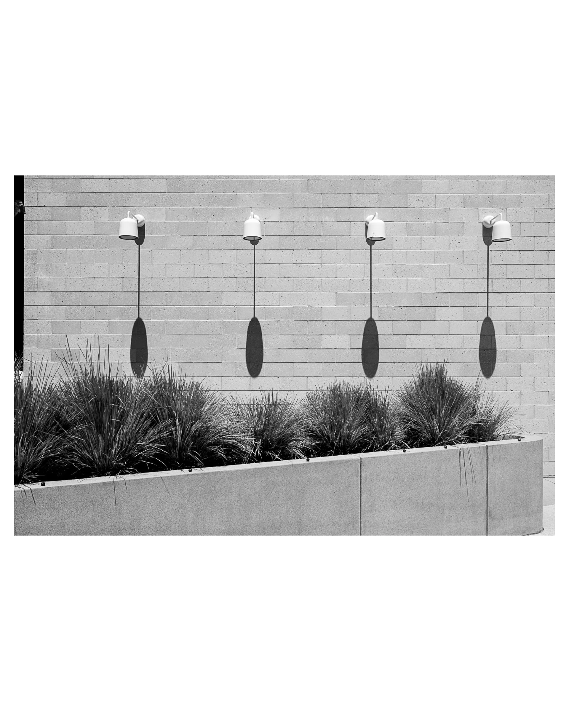 Noon Perfection, Hollywood, CA, 2026 © John P. Fleenor