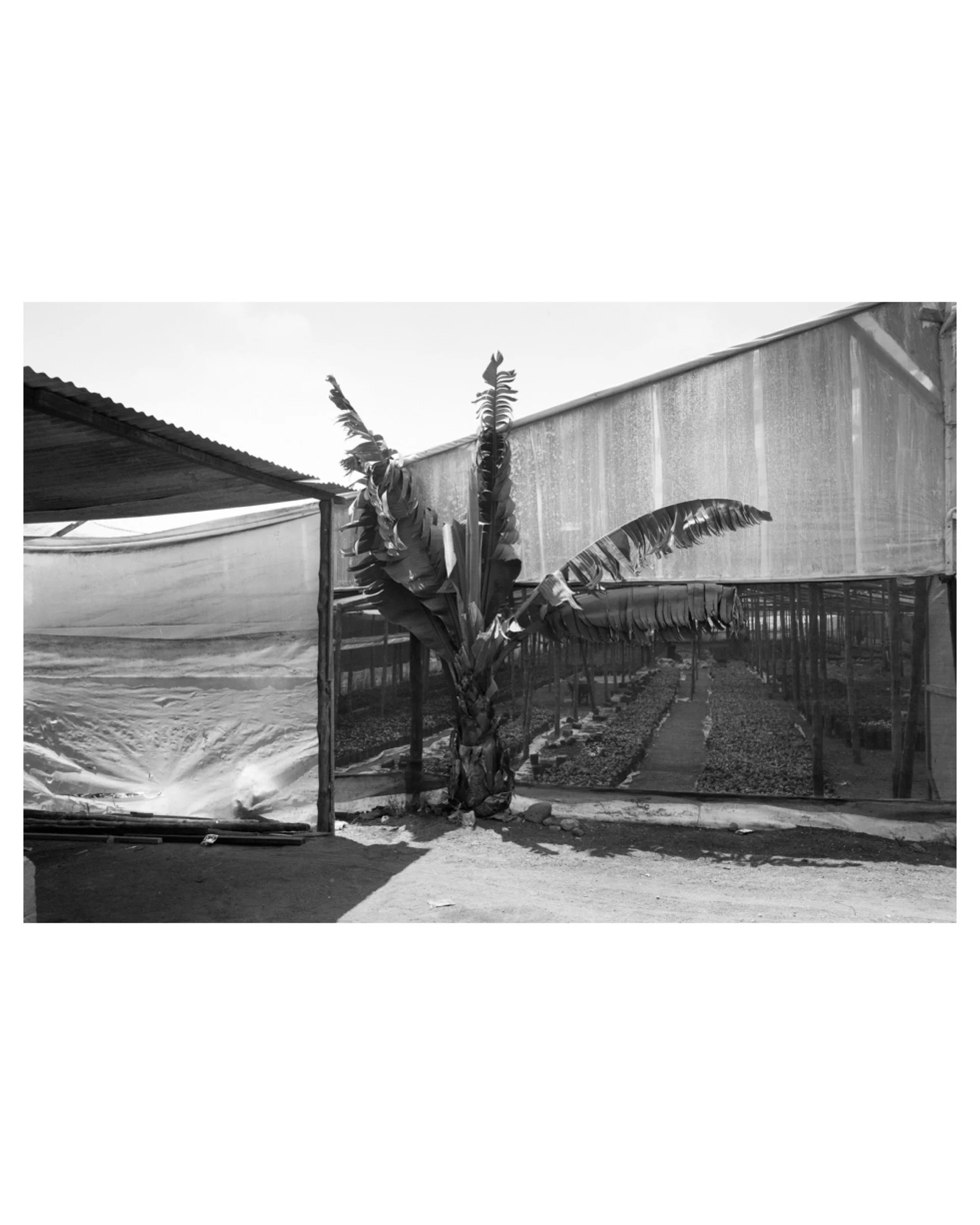 San Miguel Milpas Altas, Guatemala, 2013 © Michael Hintlian  | Fine Art Print